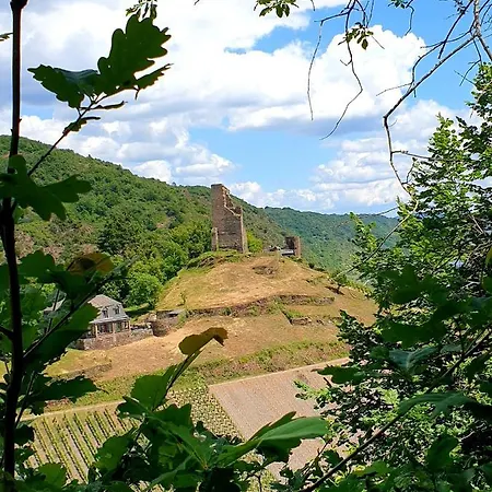 Apartment Ambiente *