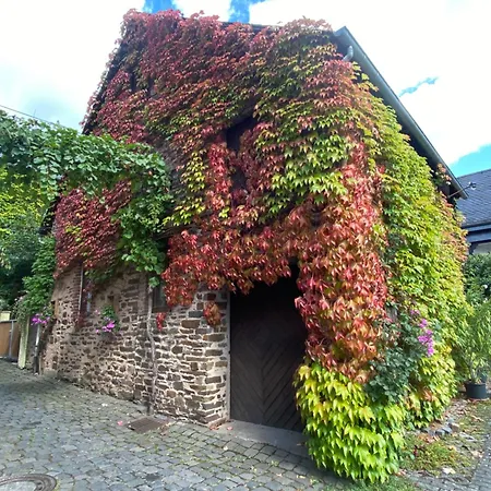 Lejlighed Ambiente *