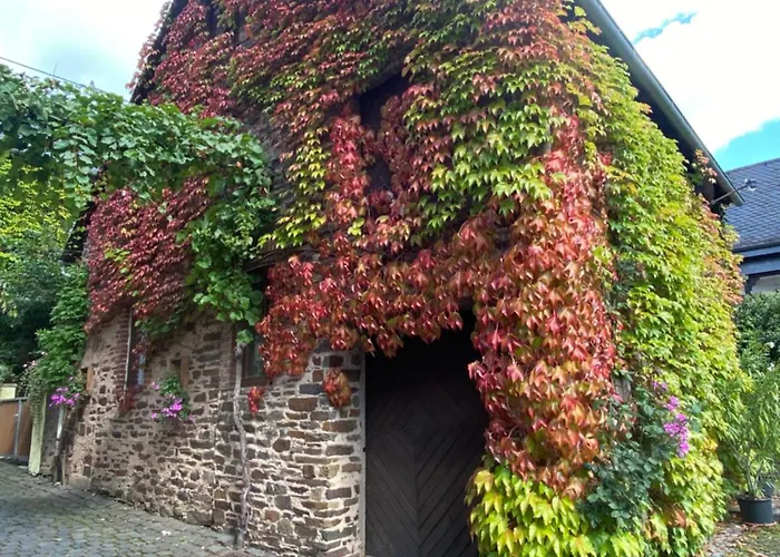 아파트 Ambiente *