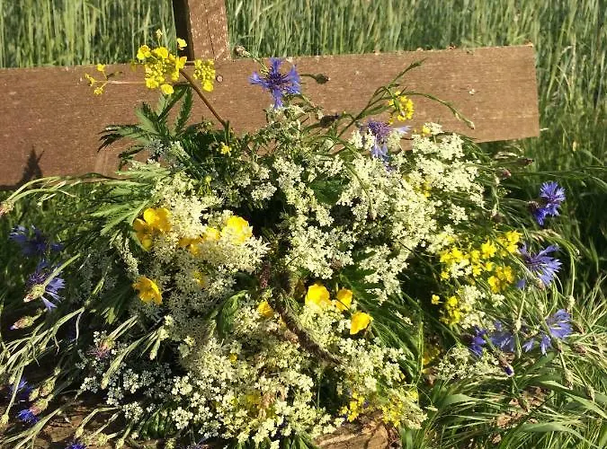 아파트 Ambiente 클로텐